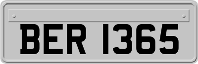 BER1365