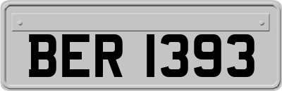 BER1393