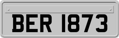 BER1873