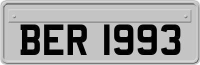 BER1993