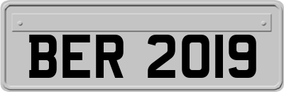 BER2019