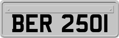 BER2501