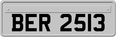 BER2513