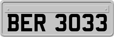 BER3033