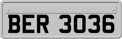 BER3036