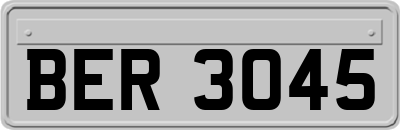 BER3045