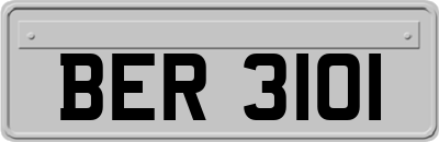 BER3101