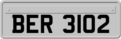 BER3102