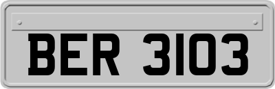 BER3103