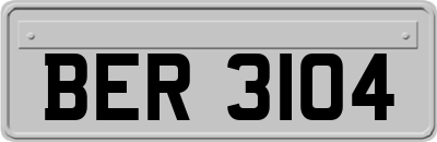 BER3104