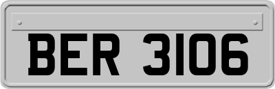 BER3106