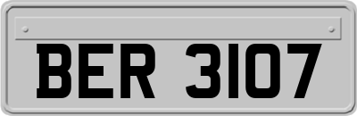 BER3107