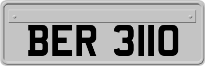 BER3110