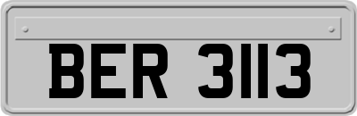 BER3113