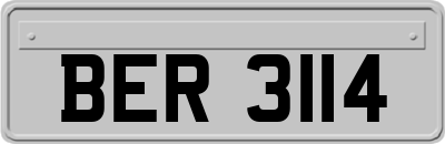 BER3114