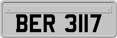 BER3117