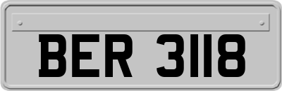 BER3118