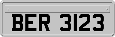 BER3123