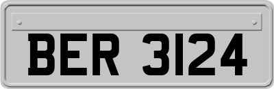 BER3124