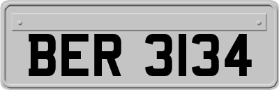 BER3134