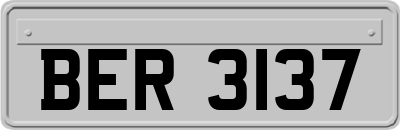 BER3137