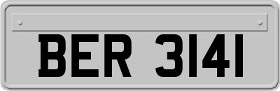 BER3141