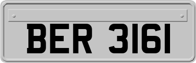 BER3161