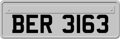 BER3163