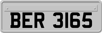 BER3165