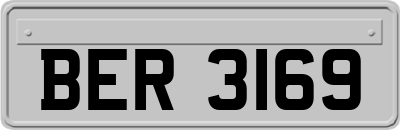 BER3169