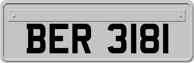 BER3181