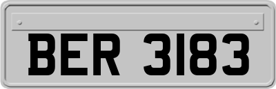 BER3183