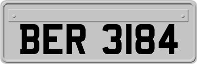 BER3184