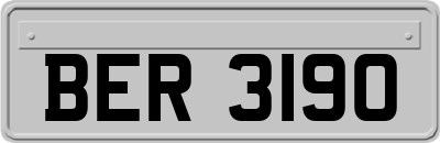 BER3190