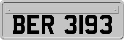 BER3193