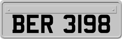 BER3198