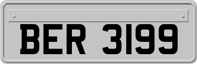 BER3199