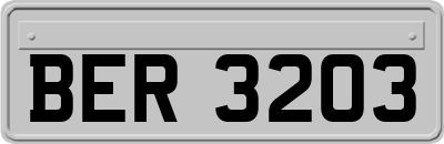 BER3203