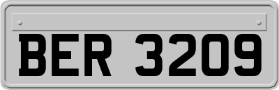 BER3209