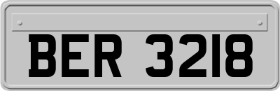 BER3218