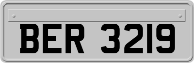 BER3219