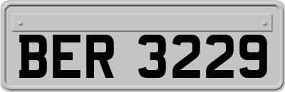 BER3229