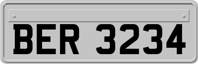 BER3234