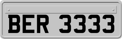 BER3333