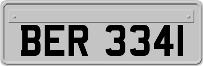 BER3341