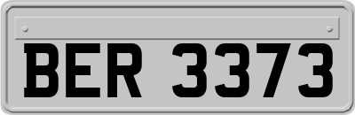 BER3373