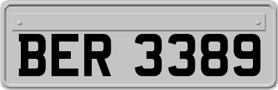 BER3389