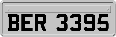 BER3395