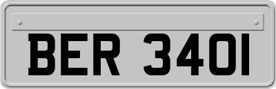 BER3401