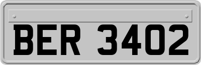 BER3402